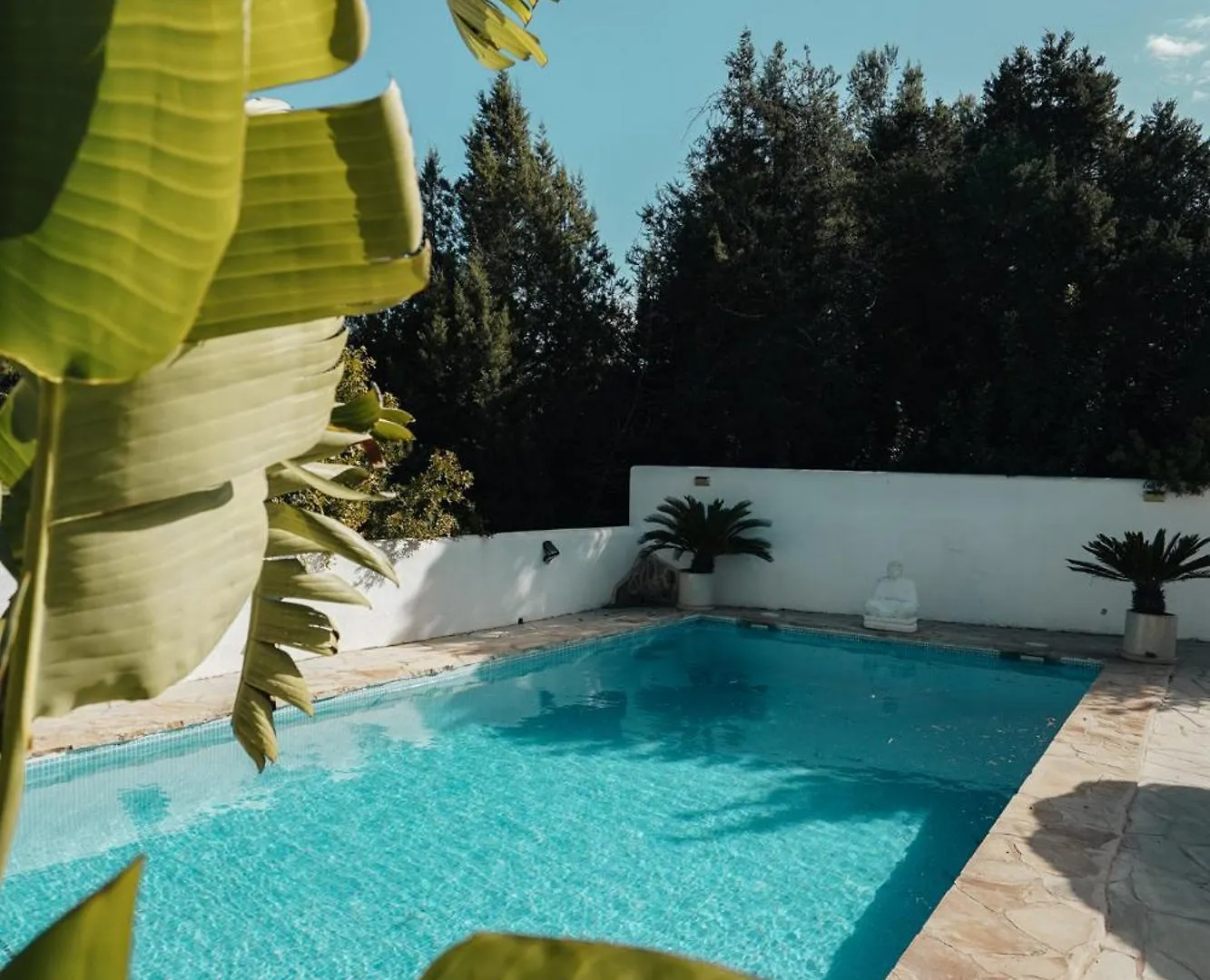 Villa Carol Montecristo